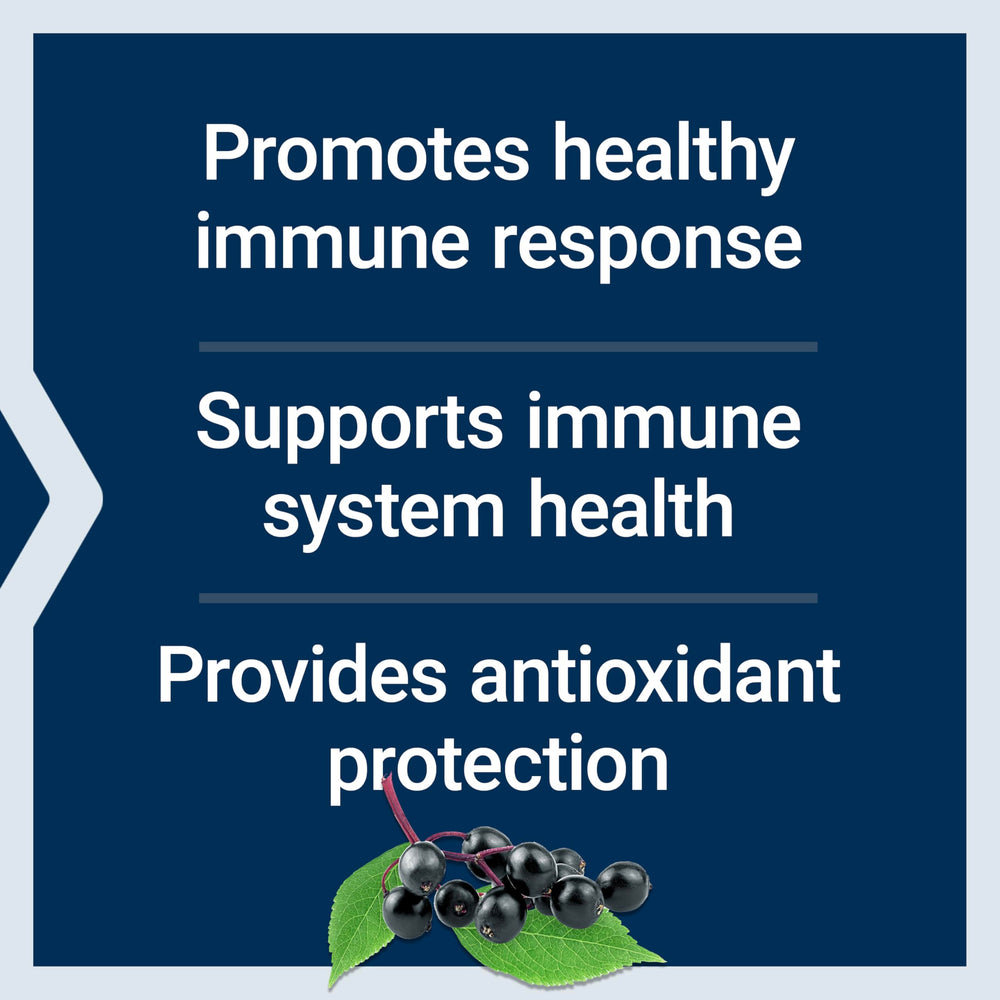 Illustration highlighting elderberry anthocyanins as antioxidants