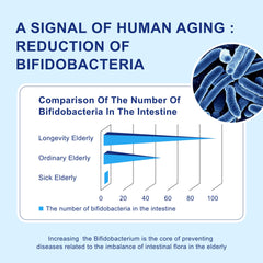 Multi-strain probiotic blend for seniors