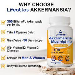 Lifeatlas Akkermansia daily-use setup for easy gut health support.