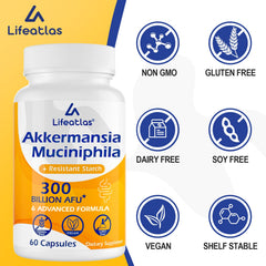 Lifeatlas Akkermansia on shelf suggests a simple daily routine.