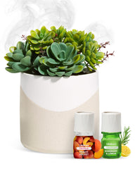 Lifelines plant diffuser bundle with two ClickWick blends