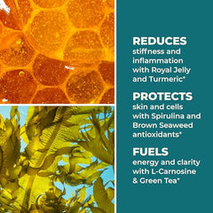 LifeSeasons Stem Boost-R capsules close-up for easy daily use.