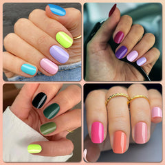 Lifextol color assortment adds matching options for any look