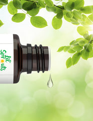 Lil' Sprouts logo with Carlyle Vitamin D3 Drops branding