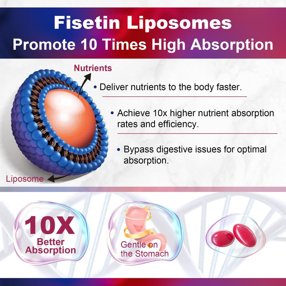Fisetin supplement ingredients: Quercetin, Resveratrol, Green Tea Extract