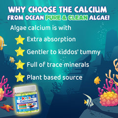 Algae calcium source illustration