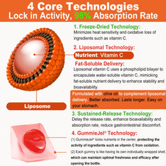 Lilicare liposome delivery visualization showing enhanced stability and absorption.