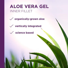 Pack shot showing two Lily of The Desert Aloe Vera Gel 16 oz bottles