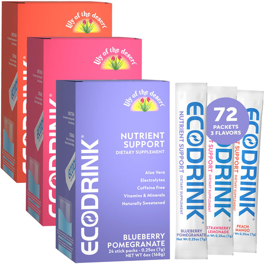 EcoDrink nutrient support hydration packets in Blueberry Pomegranate flavor
