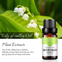 Steam-distilled Lily of the Valley essential oil close-up