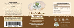 Illustration of dual extraction process for Lion’s Mane mushroom tincture