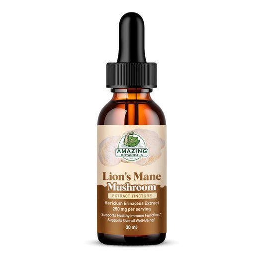 1oz bottle of Lion’s Mane Mushroom Extract Tincture, 250mg per serving
