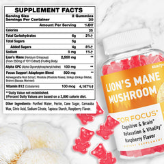 Focus and brain support gummies for adults