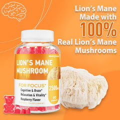 GMP-certified manufacturing of Lions Mane Gummies
