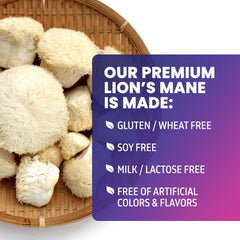 Lions Mane powder extract capsules