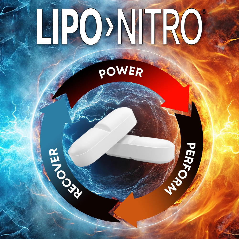 Nitro Metabolizer ingredients including green tea extract and L-theanine