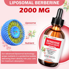 Packaging and bottle of Liposomal Berberine HCL