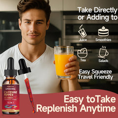 Illustration of digestive health and energy support
