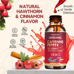 Graphic showing digestive health support with liposomal cayenne drops