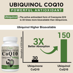 CoQ10 liposomal softgel ingredients panel