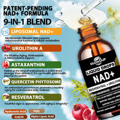 Liposomal delivery system for NAD+
