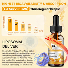 Liposomal delivery system graphic