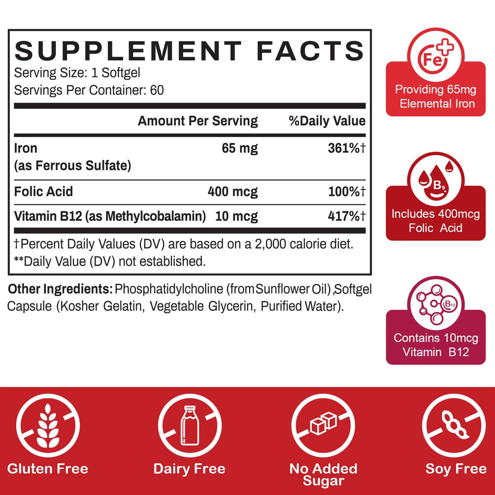 Graphic showing iron absorption improvement with liposomal technology