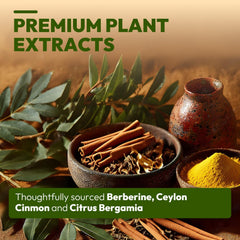 Close-up of berberine, bergamot, and cinnamon ingredients