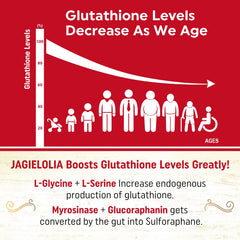 Glutathione-precursor blend with L-Serine and L-Glycin