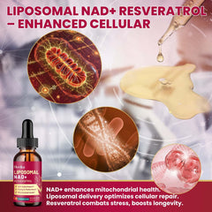 Dropper dispensing strawberry-flavored NAD+ drops
