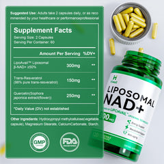 Graphic illustrating liposomal NAD+ absorption into cells