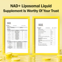 Diagram showing liposomal uptake and enhanced absorption