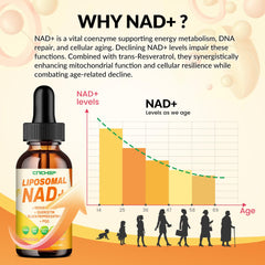 Label showing the ingredients for Liposomal NAD+ supplement