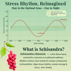 Schisandra berries with supplement capsules