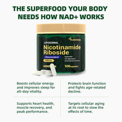 Graphic illustrating liposomal encapsulation technology