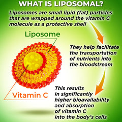 US-made liposomal vitamin C capsule bottle in facility environment
