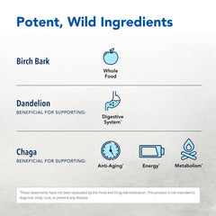 Organic dandelion root powder used in LivaLatte
