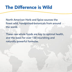 Organic maca powder used in LivaLatte