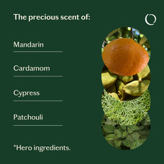 Patchouli leaves representing earthy depth in Balanced blend