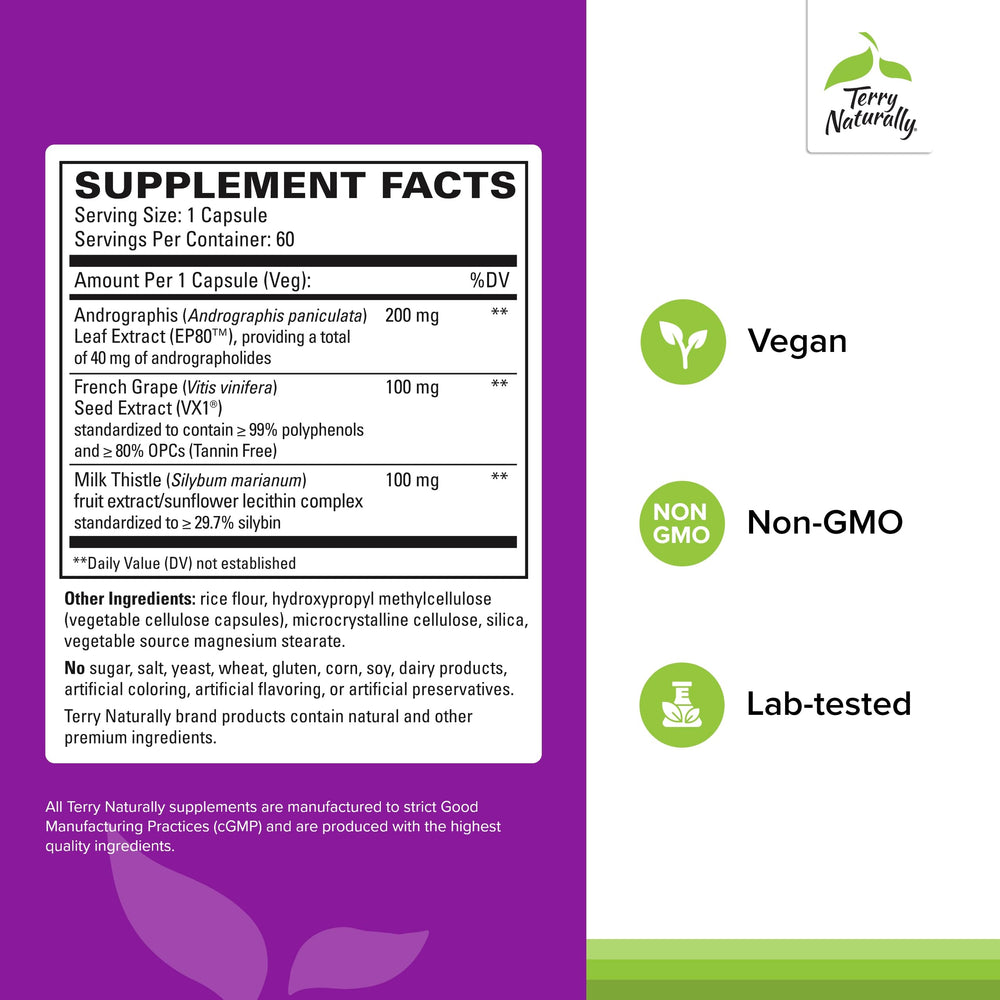 Concept image of liver function support and cellular health