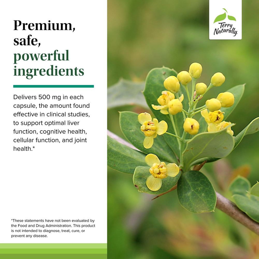 Graphic illustrating liver health benefits of berberine