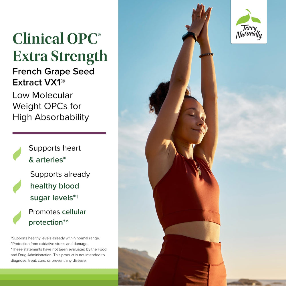 Liver support with antioxidant activity from OPCs