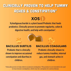 Vegan probiotic gummies with organic prebiotic fiber imagery