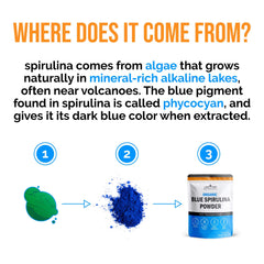 USDA certified organic spirulina powder by Lone Star Botanicals for healthy routines.