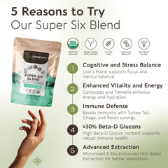 Chaga mushroom - Longevity Botanicals Super Six Organic Mushroom Blend 100g