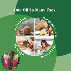 Skincare use: cinnamon leaf essential oil in lotion or serum