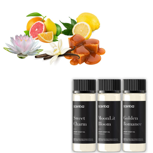 Love Collection box with three 20ml fragrance oil bottles