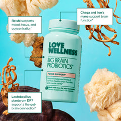 Reishi mushroom supporting mood and focus
