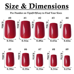 LoveOurHome 24-color glossy set for versatile daily looks and events