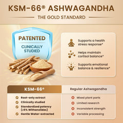 Lukaree 10-in-1 formula highlights KSM-66 Ashwagandha and L-Theanine.